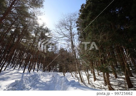 雪・空・星・冬の景色を感じる旅 冬の空はうつろいやすい アメニモマケズ 宮沢賢治 雪・空・星・冬の景色を感じる旅 冬の空はうつろいやすい アメニモマケズ 宮沢賢治 99725662