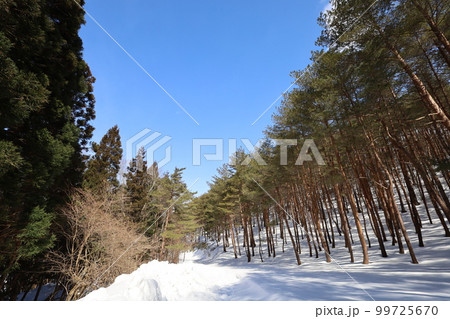 雪・空・星・冬の景色を感じる旅 冬の空はうつろいやすい アメニモマケズ 宮沢賢治 雪・空・星・冬の景色を感じる旅 冬の空はうつろいやすい アメニモマケズ 宮沢賢治 99725670