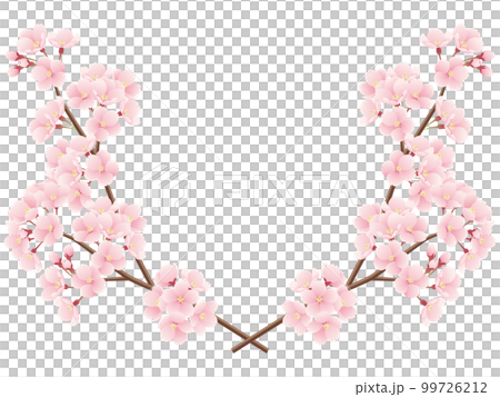交差した桜の枝のイラスト 99726212