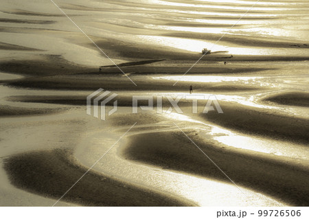 御輿来海岸 御輿来海岸 99726506