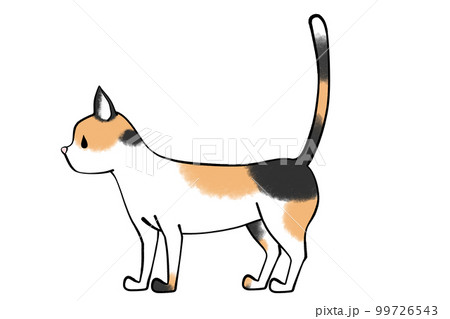 猫尾 を 立てる – 猫 尻尾を立てる 気持ち悪い : 猫のしっぽでキモチが分かる!?まとめて解説！ – NYLNK