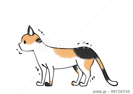 尻尾を下げて震える 猫のイラスト 尻尾を下げて震える 猫のイラスト 99726550