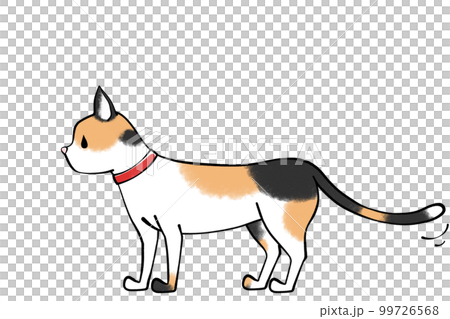 尻尾を静かにふる　猫のイラスト 99726568
