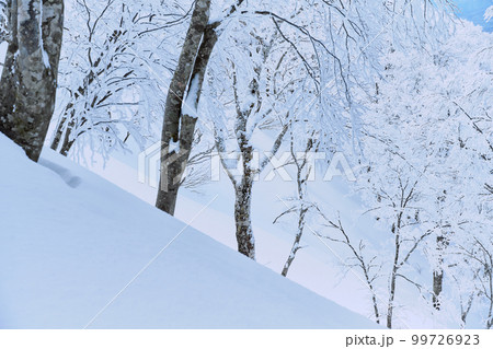 雪深い山の斜面 雪深い山の斜面 99726923