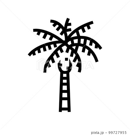 queen palm tree line icon vector illustration queen palm tree line icon vector illustration 99727955