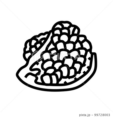 cut pomegranate fruit line icon vector illustration 99728003