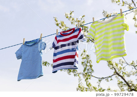 T-shirts hanging on clothing line in front of blooming apple trees in the garden T-shirts hanging on clothing line in front of blooming apple trees in the garden 99729478