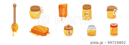 Honey with Dipper and Honeycomb with Sticky Golden Nectar Vector Set Honey with Dipper and Honeycomb with Sticky Golden Nectar Vector Set 99729802