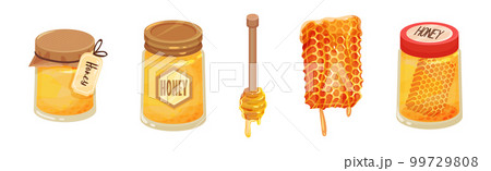 Honey with Dipper, Glass Jar and Honeycomb with Sticky Golden Nectar Vector Set 99729808