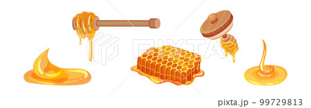 Honey with Dipper and Honeycomb with Sticky Golden Nectar Vector Set 99729813
