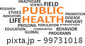 word cloud - public health 99731018