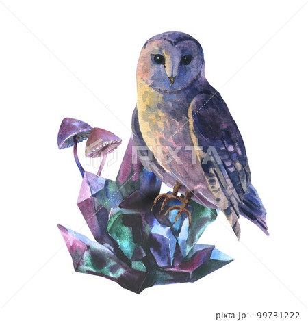 Watercolor composition owl is sitting on semiprecious of blue and purple crystals and fantasy toxic Halloween mushrooms. Hand drawn illustration isolated on white background. Watercolor composition owl is sitting on semiprecious of blue and purple crystals and fantasy toxic Halloween mushrooms. Hand drawn illustration isolated on white background. 99731222