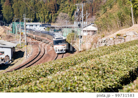 【高山本線】白川町の茶畑を駆け抜ける長編成のひだ号 99731583