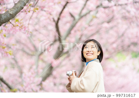 女性、桜、旅行、カメラ、観光、河津桜、観光スポット、撮影、デジカメ、観光地、カメラ女子、伊豆、旅、女 99731617