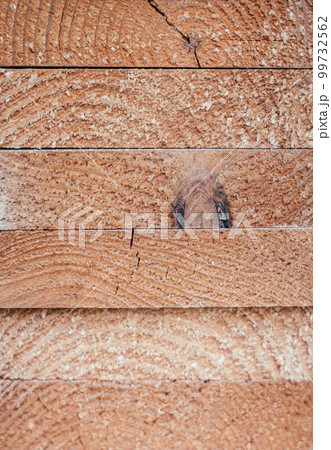 Background texture. Ends of stacked edged boards. Top view. Copy space, vertical 99732562