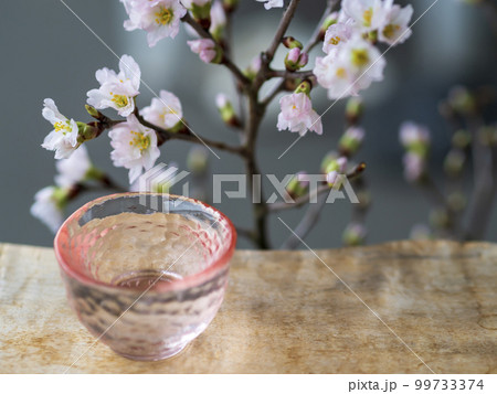 花見の宴 花見の宴 99733374