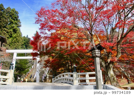 秋の土津神社（福島県・猪苗代町） 99734189