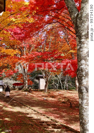 秋の土津神社(福島県・猪苗代町) 秋の土津神社(福島県・猪苗代町) 99734190