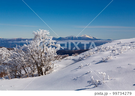 霧ケ峰高原の雪原から樹氷と浅間山雪景色 99734279