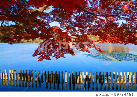 秋の南湖公園（福島県・白河市） 99734461