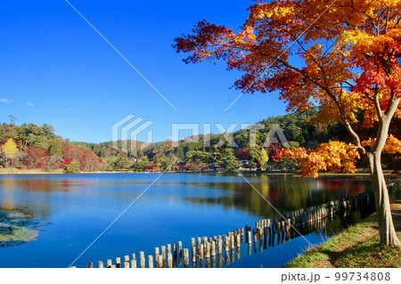 秋の南湖公園（福島県・白河市） 99734808