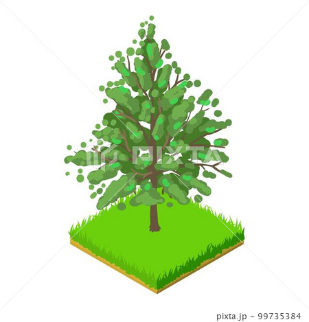 Magnolia acuminata icon. Isometric illustration of magnolia acuminata vector icon for web Magnolia acuminata icon. Isometric illustration of magnolia acuminata vector icon for web 99735384