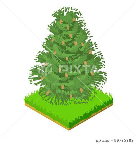 Eastern hemlock icon. Isometric illustration of eastern hemlock vector icon for web 99735388