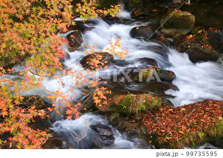 秋の那倉川渓谷（福島県・塙町） 99735595