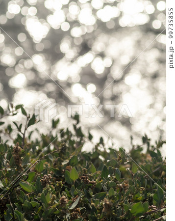 植物 工場 プランツ 99735855