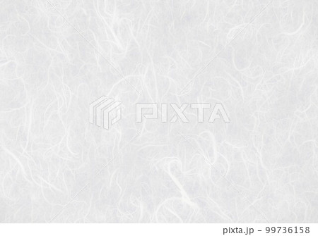 和紙雲竜紙白 和紙雲竜紙白 99736158