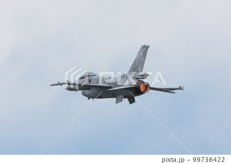 ポーランド空軍F-16Cブロック52+「タイガーデモチーム」 99736422