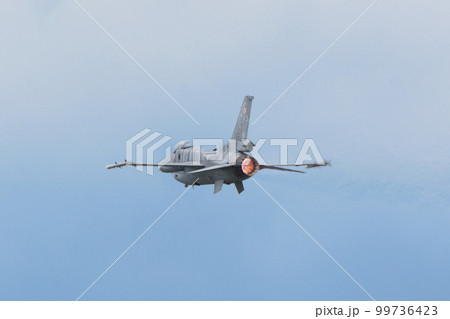 ポーランド空軍F-16Cブロック52+「タイガーデモチーム」 ポーランド空軍F-16Cブロック52+「タイガーデモチーム」 99736423