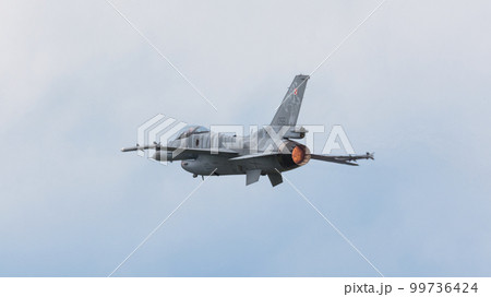 ポーランド空軍F-16Cブロック52+「タイガーデモチーム」 99736424