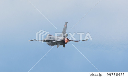 ポーランド空軍F-16Cブロック52+「タイガーデモチーム」 99736425