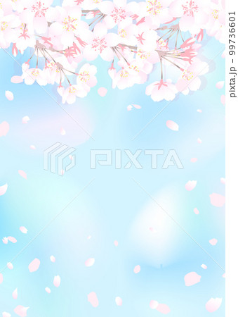 桜の枝と明るい青い空 99736601