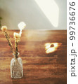ドライフラワーと光 99736676