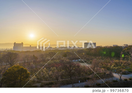 大阪城月見櫓跡からの大阪城梅林のすばらしい朝の景色 99736870