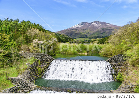 宮城蔵王 春 残雪と緑と花と 99737176