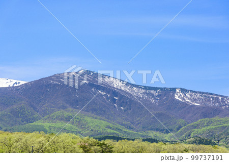 宮城蔵王 春 残雪と緑と花と 宮城蔵王 春 残雪と緑と花と 99737191
