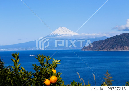 伊豆市土肥からの富士山、みかん山 99737218