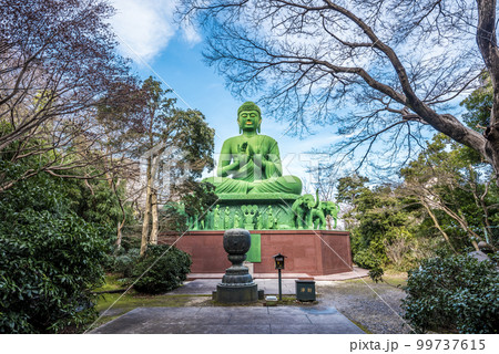 《愛知県》名古屋市　千種区桃巌寺の名古屋大仏 99737615