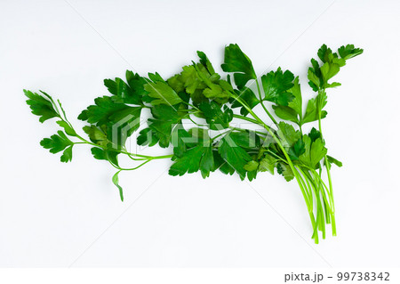 Sprig of raw green parsley over white background Sprig of raw green parsley over white background 99738342