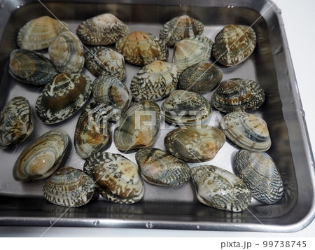 アサリの砂抜き アサリの砂抜き 99738745