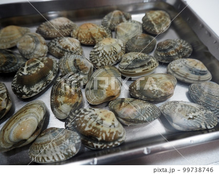 アサリの砂抜き アサリの砂抜き 99738746