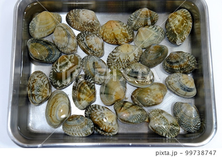 アサリの砂抜き アサリの砂抜き 99738747