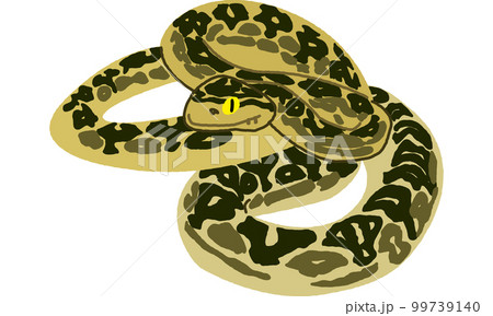 世界自然遺産の島の生き物　ハブ　ソフト調 99739140