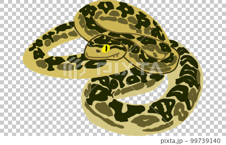 世界自然遺産の島の生き物　ハブ　ソフト調 99739140