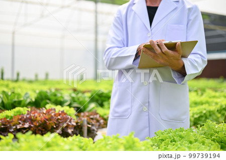 Cropped image of a biologist holding a clipboard paper, standing in the hydroponic greenhouse. 99739194