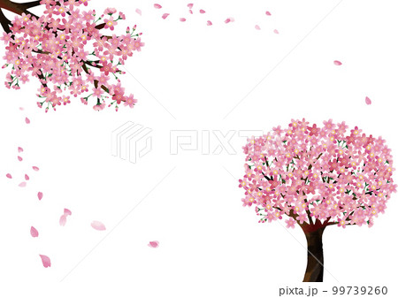 水彩タッチ 桜の木満開フレームのイラスト素材 [99739260] - PIXTA