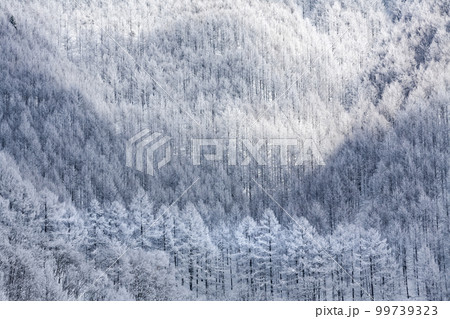 霧氷の山 99739323